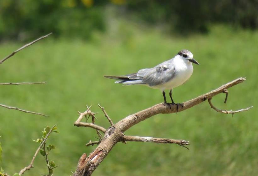 住宿加早餐 Golden Park