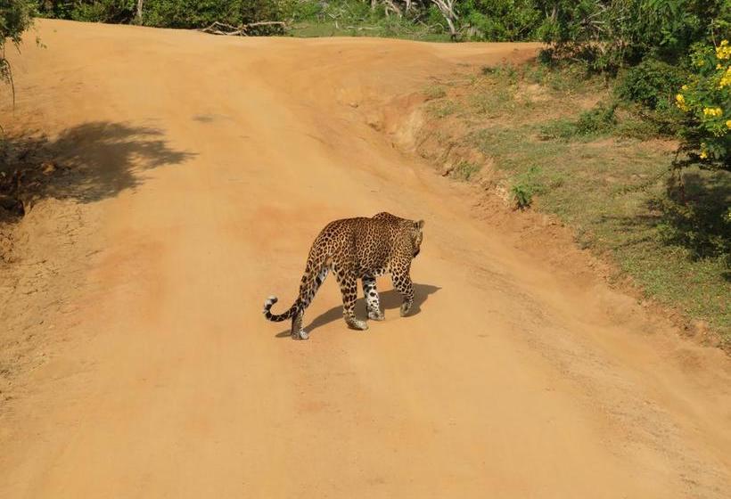 住宿加早餐 Golden Park