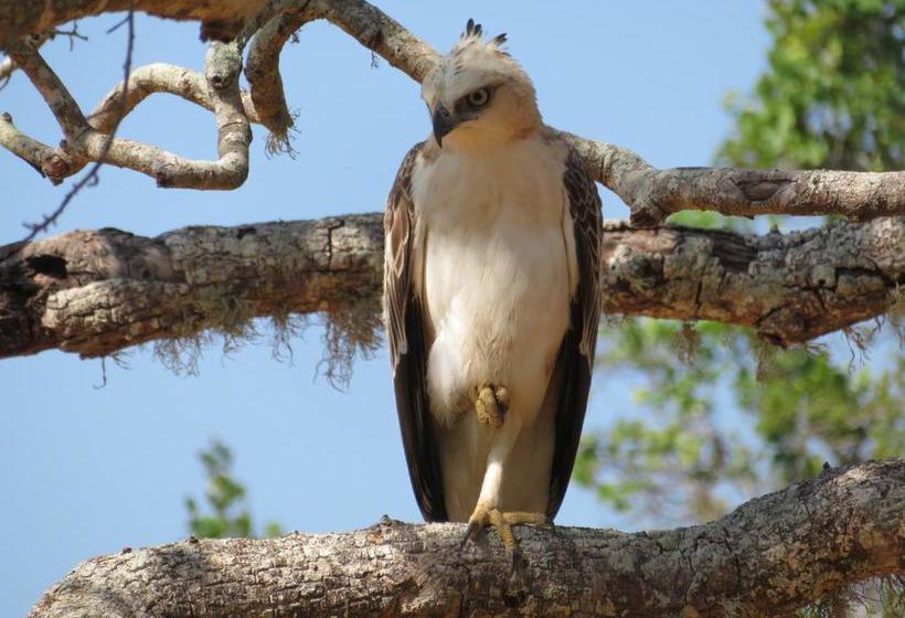 住宿加早餐 Golden Park