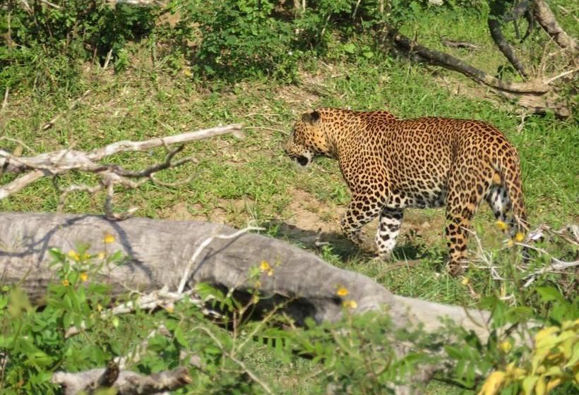 住宿加早餐 Golden Park