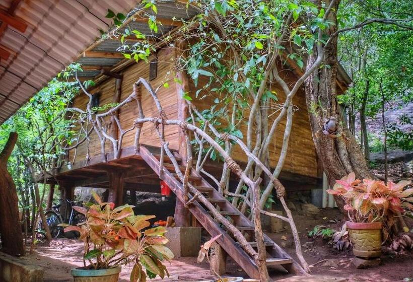 צימר Golden Rainbow Guest House