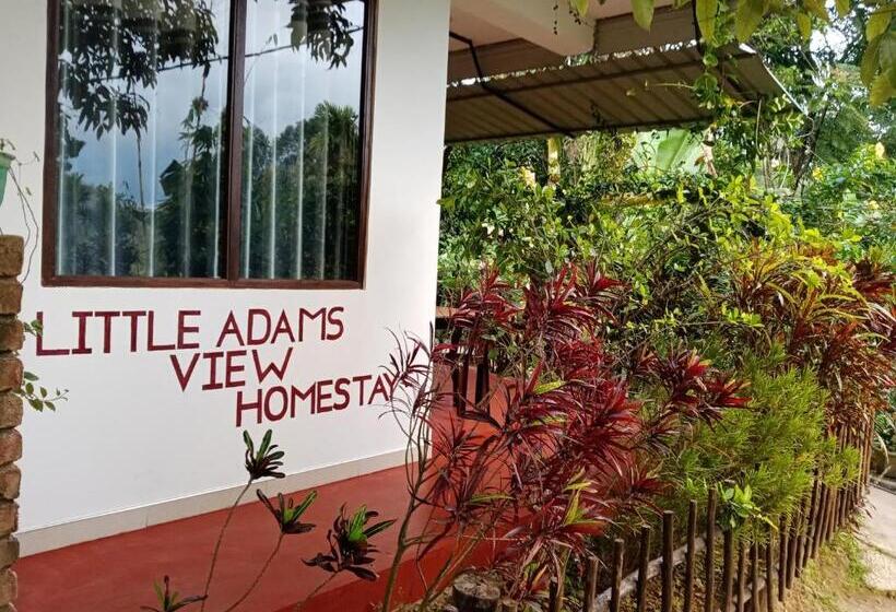 Bed and Breakfast Littleadems View