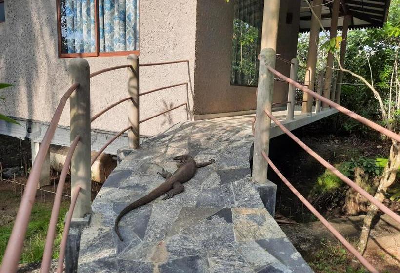 住宿加早餐  Mass Eco Cabana Yoga & Spa   Unawatuna