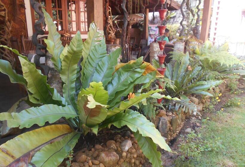 مبيت وإفطار Sapphire Holiday Resort