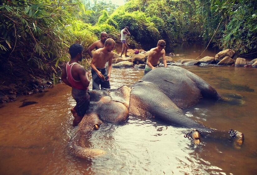 مبيت وإفطار Sapphire Holiday Resort
