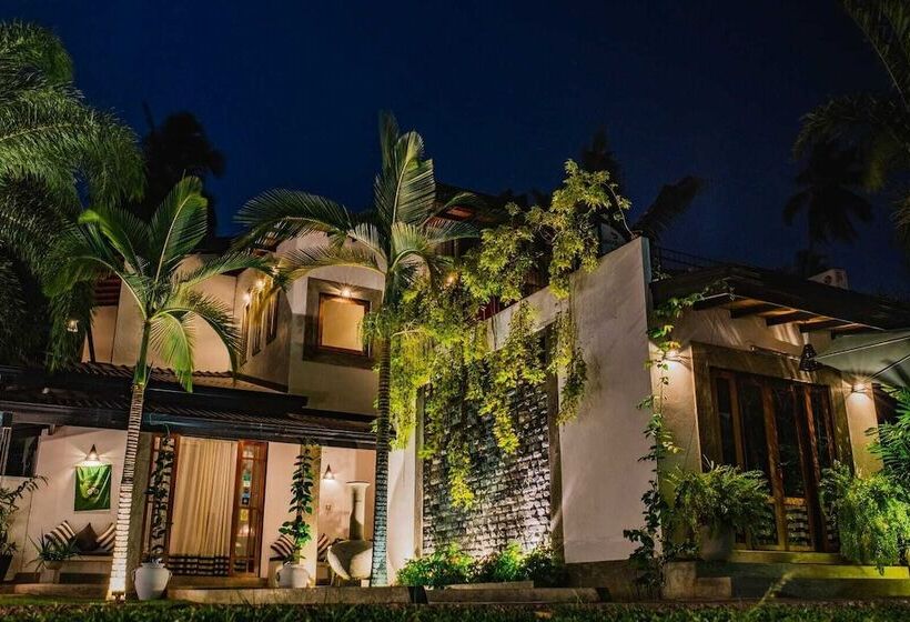 مبيت وإفطار Villa Dominikku