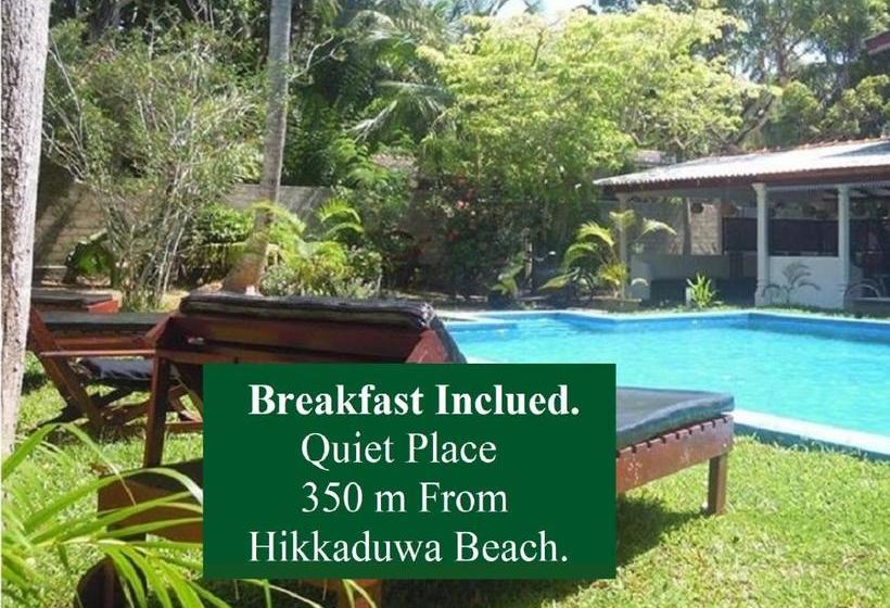 Bed and Breakfast Vidisa Hôtel