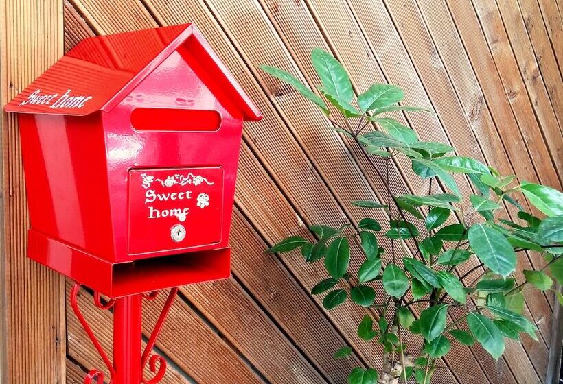 Cozzzy Guest House   Hostel