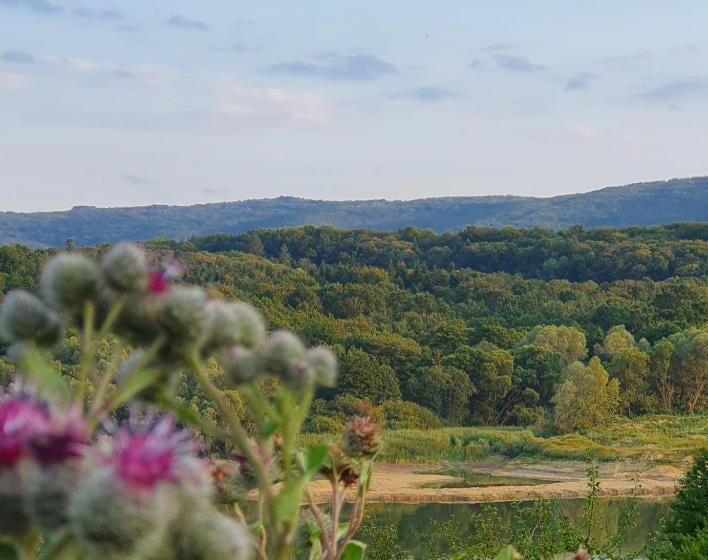 Hermes Resort Hotel With Medical Treatment