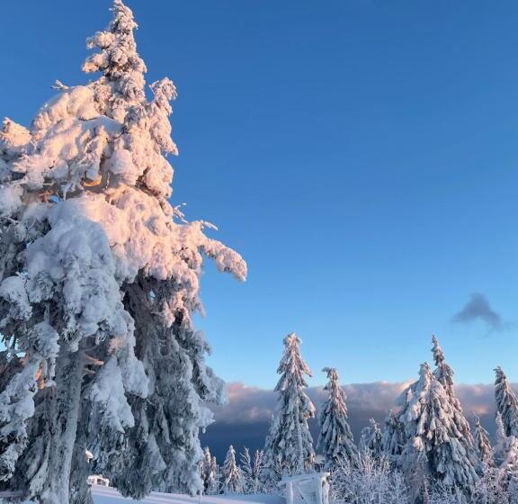 Hotelli садиба рокса