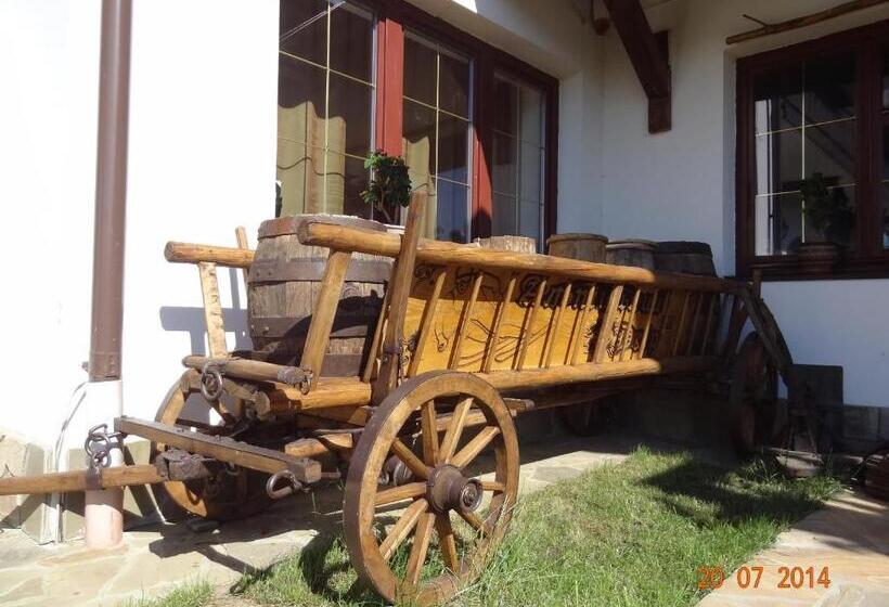 酒店 Alpenhof Pansion