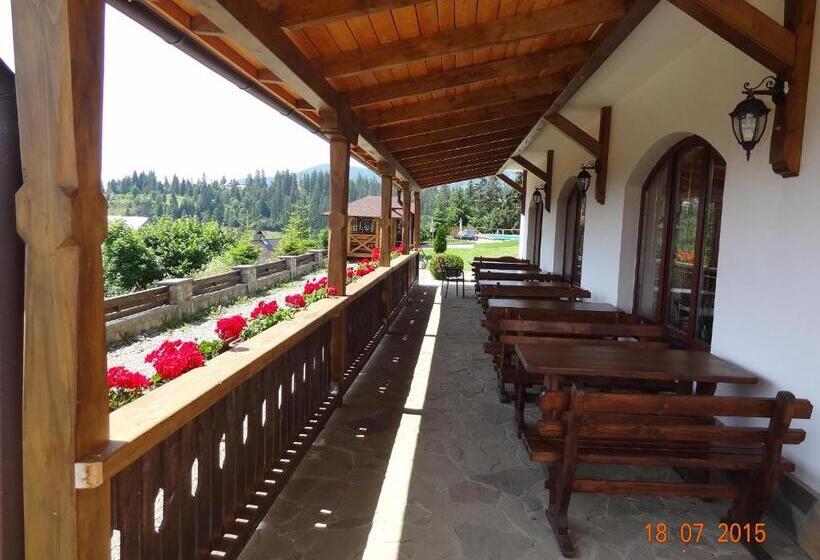 فندق Alpenhof Pansion