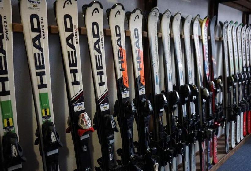 فندق Alpenhof Pansion