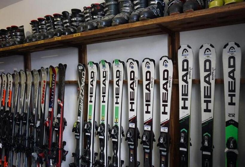 فندق Alpenhof Pansion