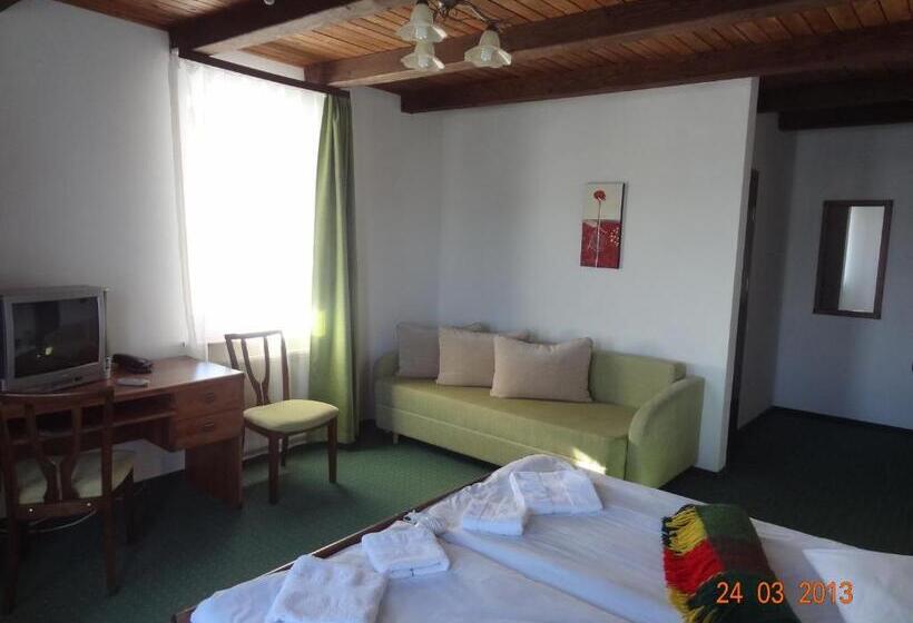 فندق Alpenhof Pansion