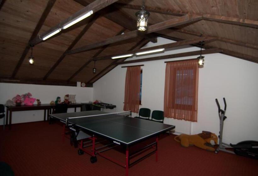 فندق Alpenhof Pansion