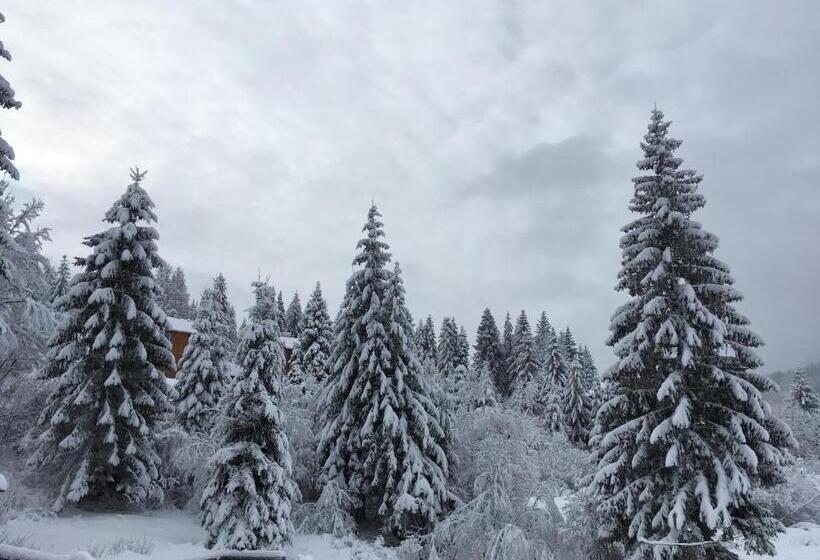 هتل Chalet Filvarok