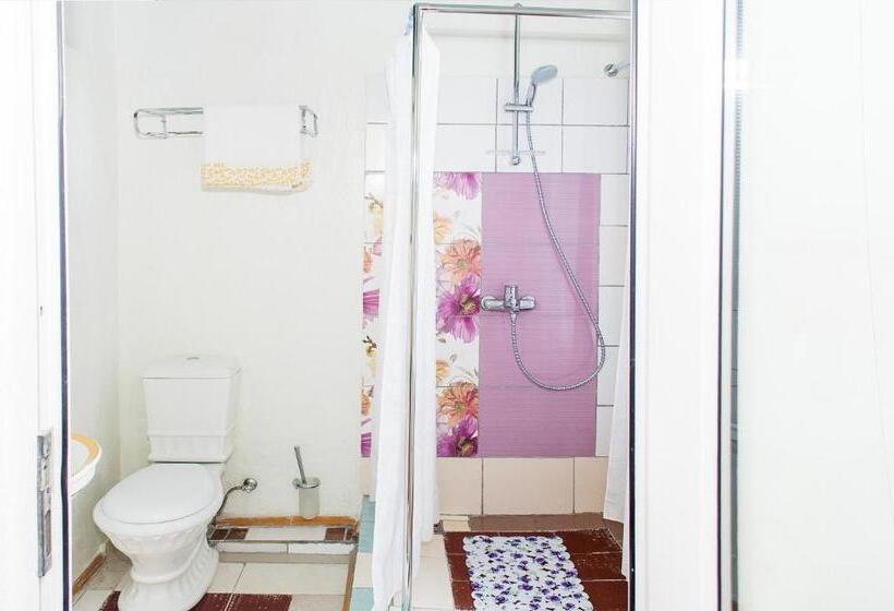 هتل Guest House De Rishelye