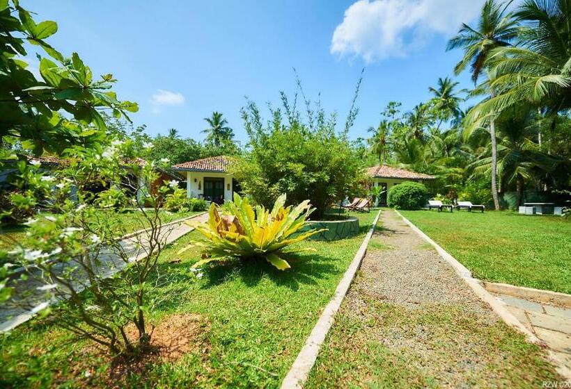 בית מלון כפרי Jasmine Cabanas