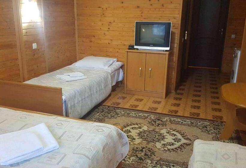 هتل Karpatski Zori