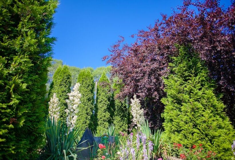 هتل Pansionat Bogema