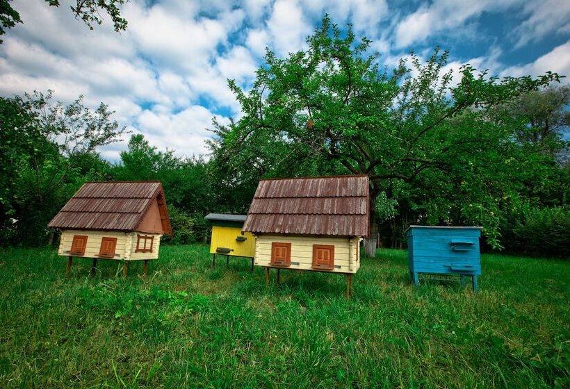 هتل Pansionat Bogema