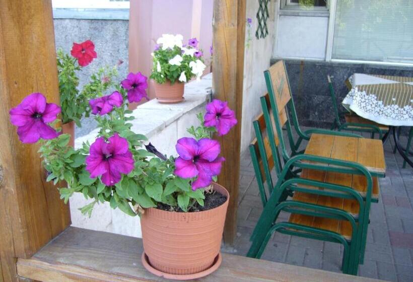 هتل Profspilkovyi