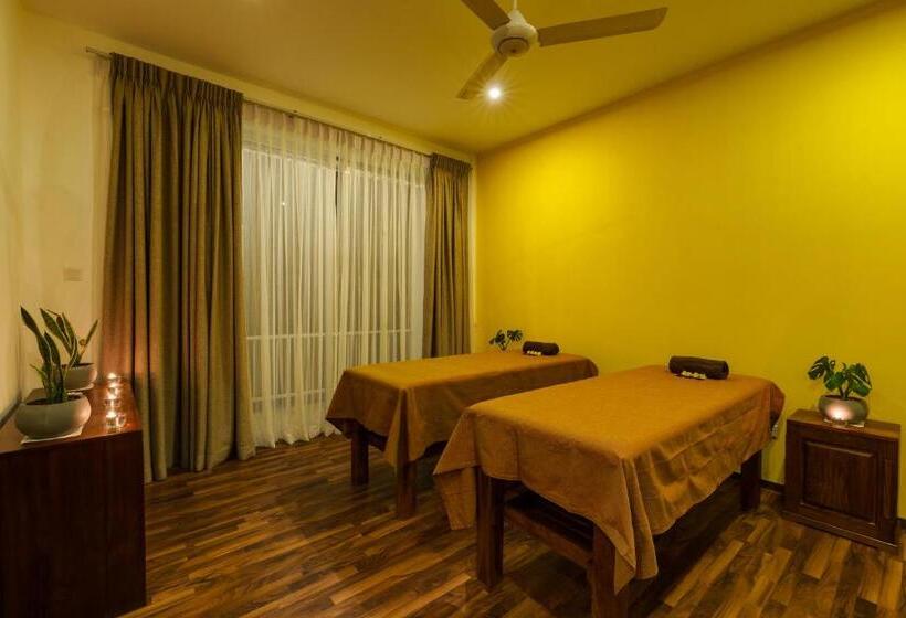 Morning Dew Boutique Hotel Ella