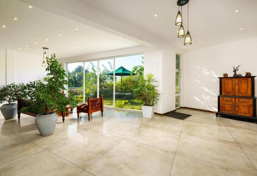 Morning Dew Boutique Hotel Ella