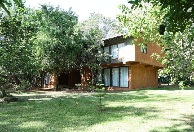 Pinthaliya Resort