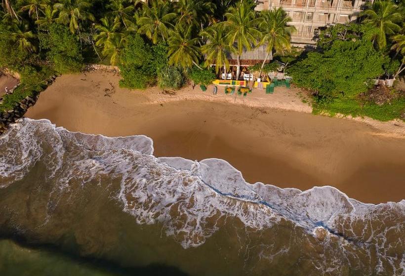 Reggae Zone Beach Resort