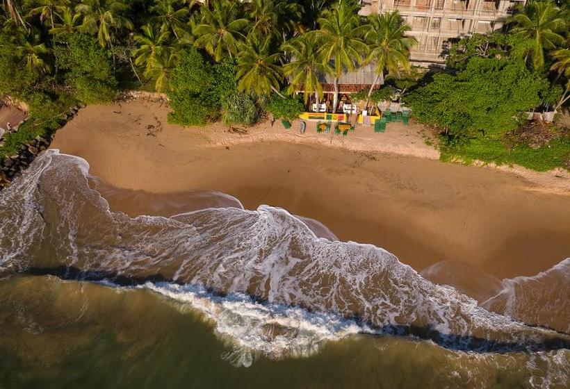 Reggae Zone Beach Resort