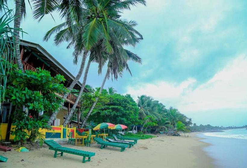 Reggae Zone Beach Resort