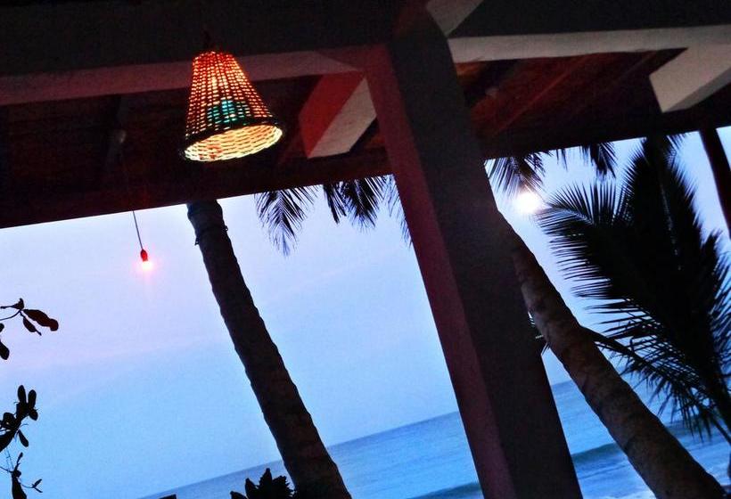 Reggae Zone Beach Resort