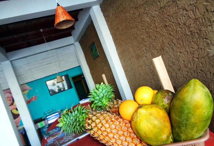 Reggae Zone Beach Resort