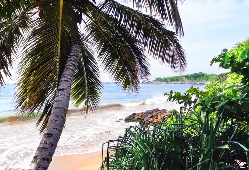 Reggae Zone Beach Resort