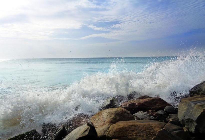 Reggae Zone Beach Resort