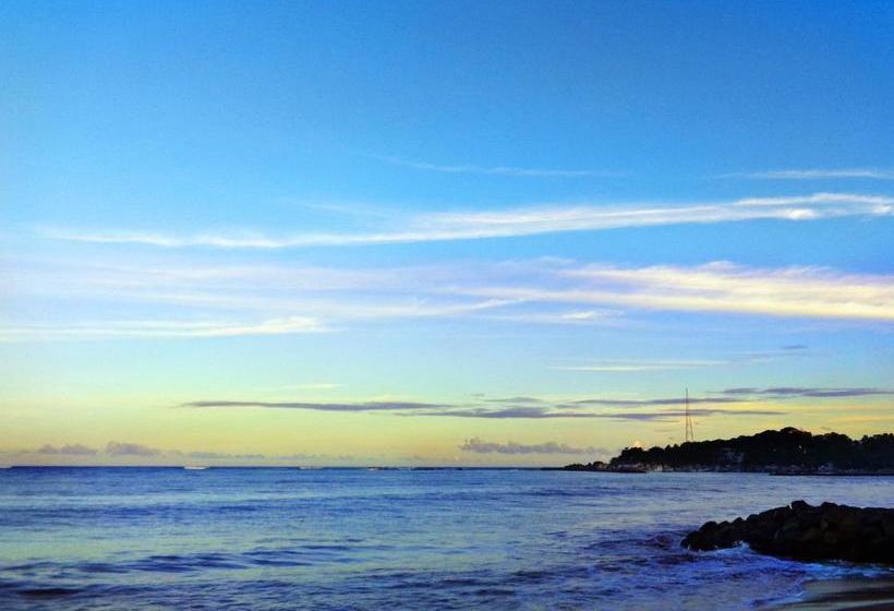 Reggae Zone Beach Resort