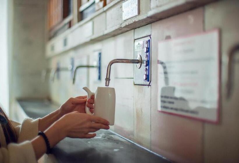 Resort Hotel Karpaty