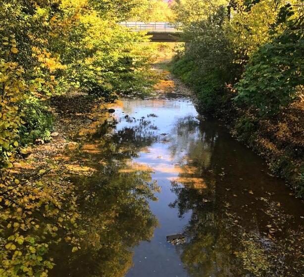 استراحتگاه Lileya