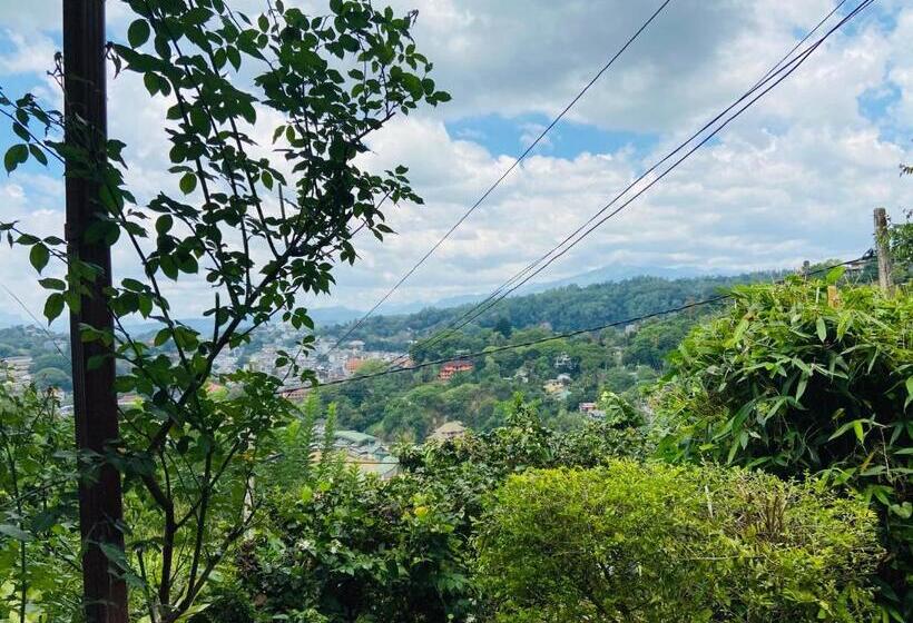 리조트 Mount Palace