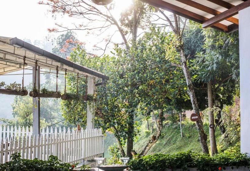 Курорт Villa Perpetua