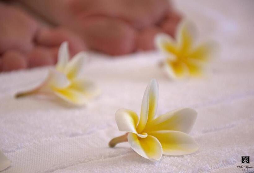 Курорт Villa Perpetua