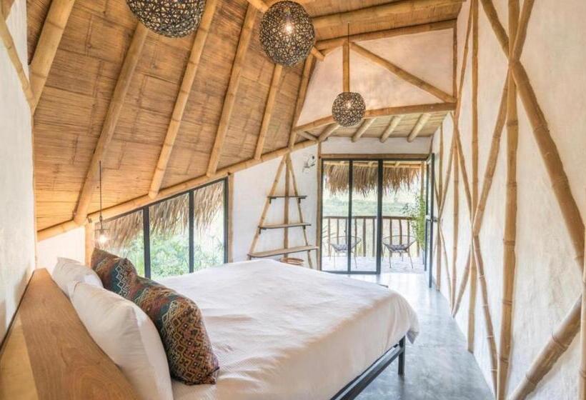 ホテル San Augustin   Superior Double Room   Colombia