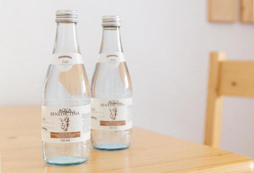 ユースホステル Dům Hostů Klášter Broumov