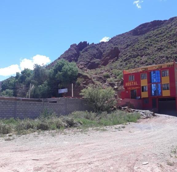 هاستل Hostal Salares