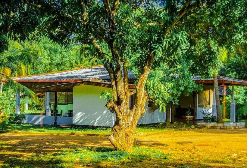 צימר Banana Rest Sigiriya