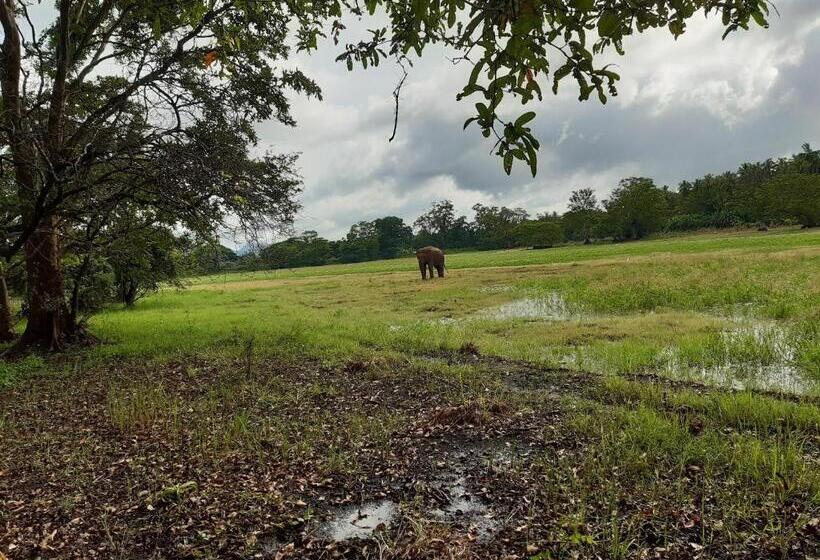 צימר Banana Rest Sigiriya