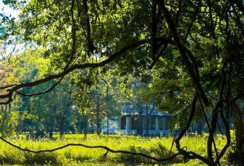 צימר Banana Rest Sigiriya