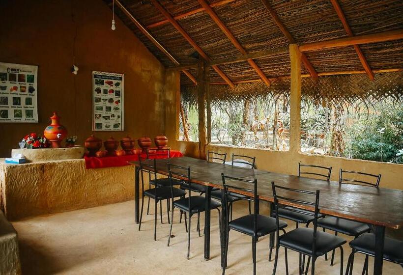 Bed and Breakfast Dudley Nature Resort